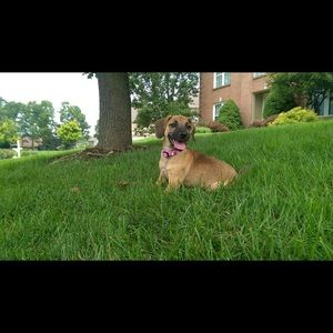 Meet your Posher, Nancy